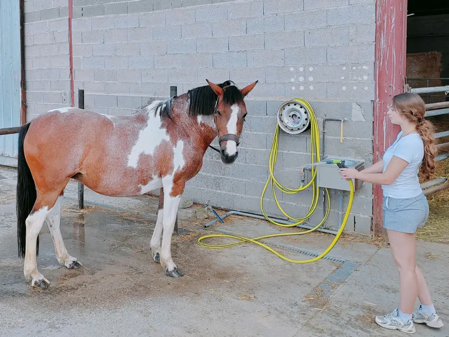 Douche extérieure pour chevaux