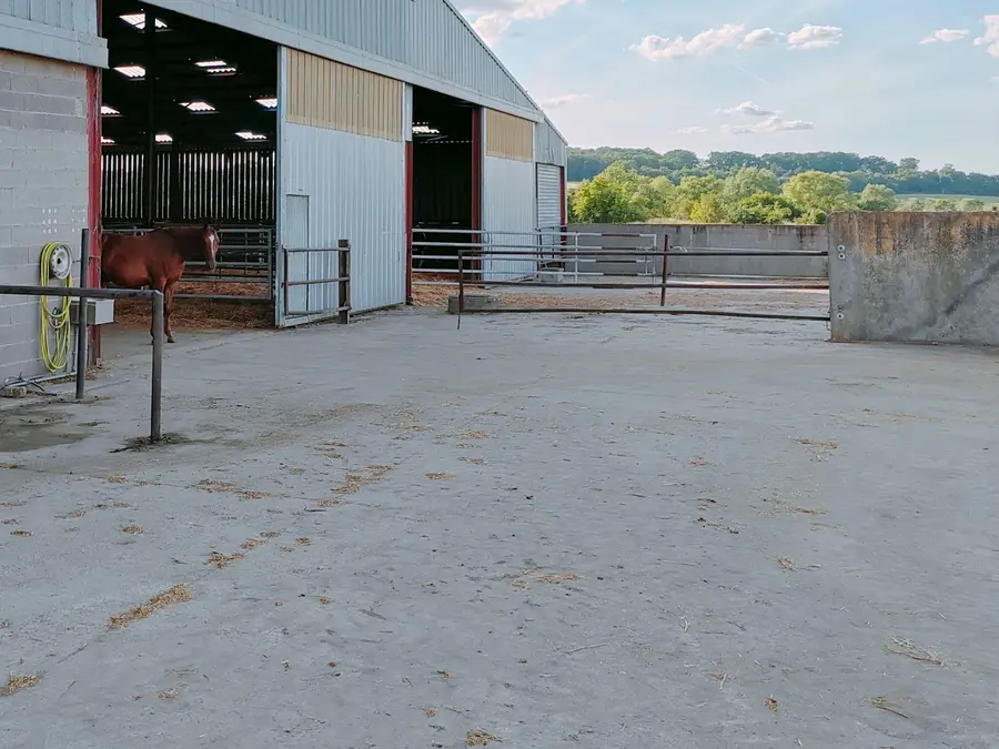Paddocks bétonnés accessibles depuis les stabules